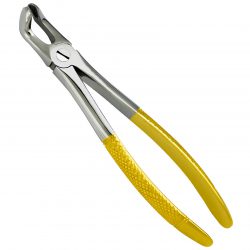 Extracting Forceps